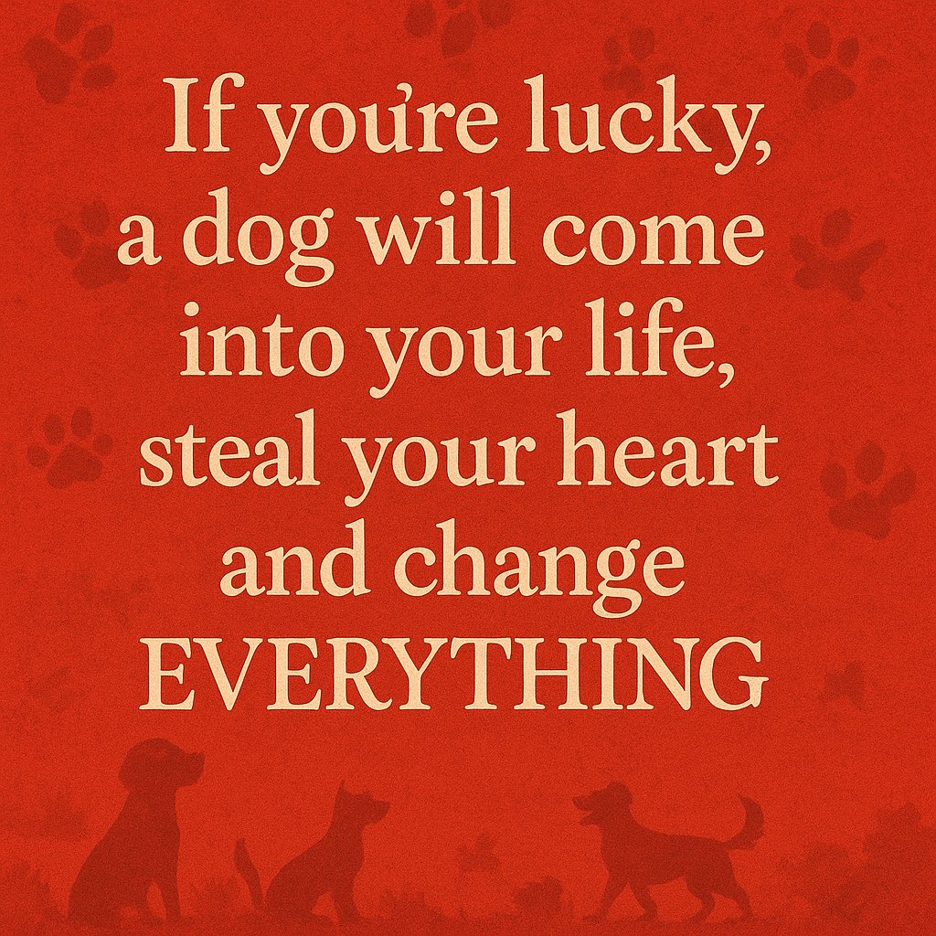 PhilSledge's tweet image. Are you lucky? 🍀