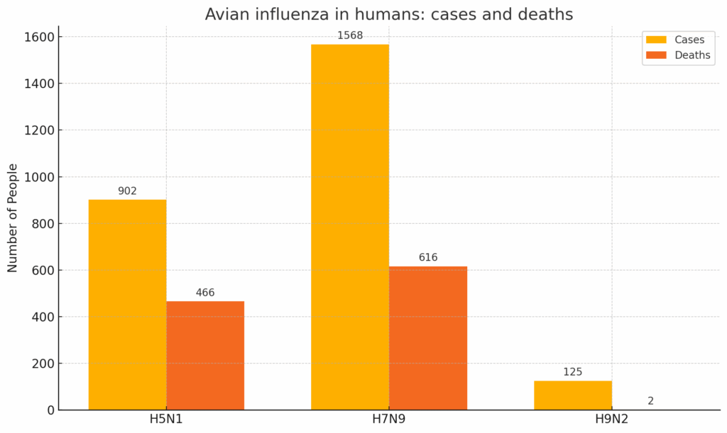 Is bird flu the next pandemic threat?

Dr Alison Wakeham explains the science behind avian influenza and how @globalaccessdx is working with @ThePirbright to develop rapid diagnostics.

🐔 Read: zurl.co/wIZl7

#BirdFlu #H5N1 #Diagnostics #OneHealth