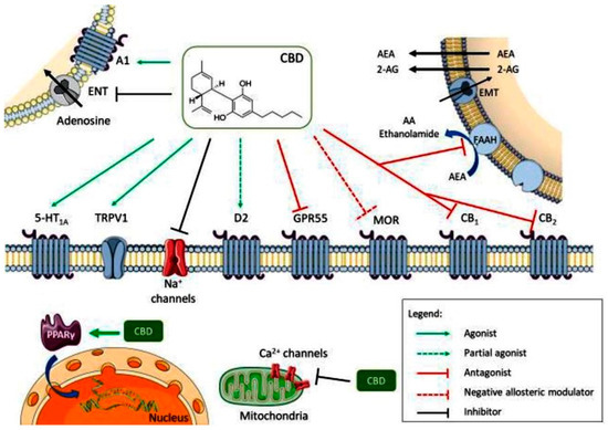 IJMS_MDPI's tweet photo. ๐ก#MostCitedPaper
๐#Phytocannabinoids: Exploring Pharmacological Profiles and Their Impact on Therapeutical Use
๐งโ๐ฌBy Nicoleta Mirela Blebea, Andreea Iulia Pricopie, Robert-Alexandru Vlad, Gabriel Hancu
๐Read more: https://t.co/mnx0iVpk5B
#bioactives #nutraceuticals https://t.co/ebYt4JrxCo