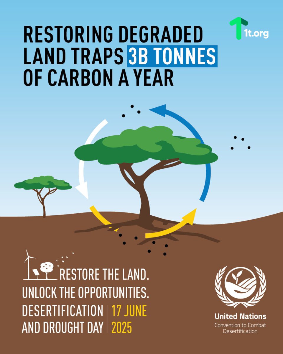 1t_org's tweet image. #LandRestoration is a natural solution for #ClimateAction.
#CarbonSequestration #ClimateSolutions #NatureBasedSolutions #DesertificationAndDroughtDay #United4Land #TrillionTrees #1torg