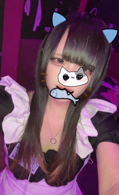 Dorthy ドロシーのツイート