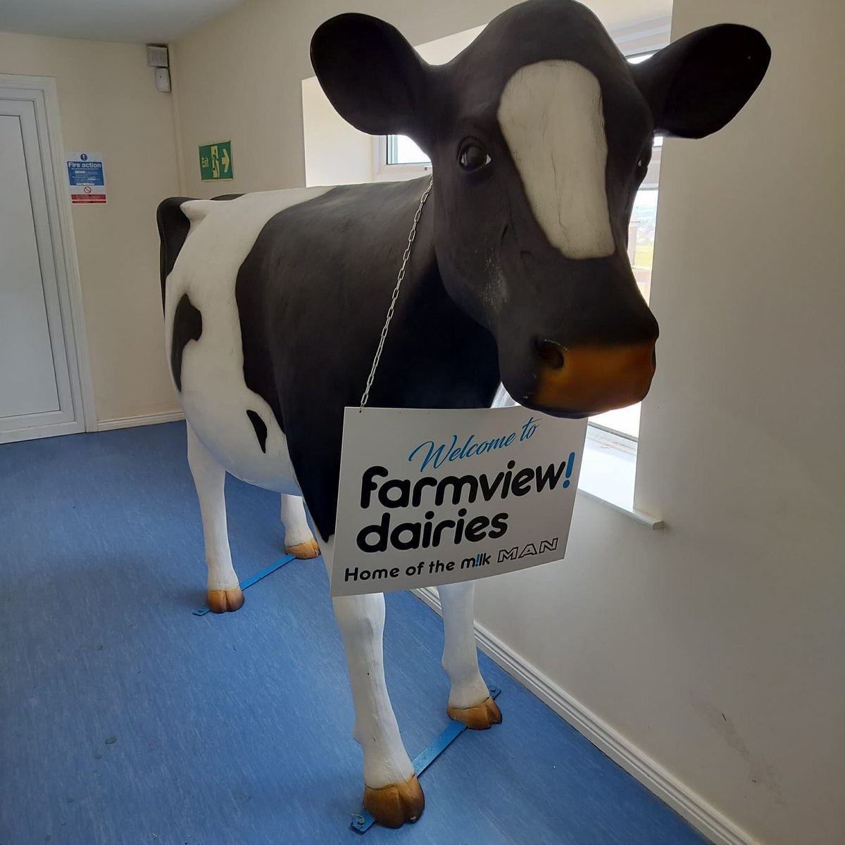 Service Manager Martin Southall and Engineer Adam Berry are spending their week in Ireland, to carry out service work for some of our customers 🧑‍🔧

We are loving this picture of the dairy cow from one of our customer sites! 🐄