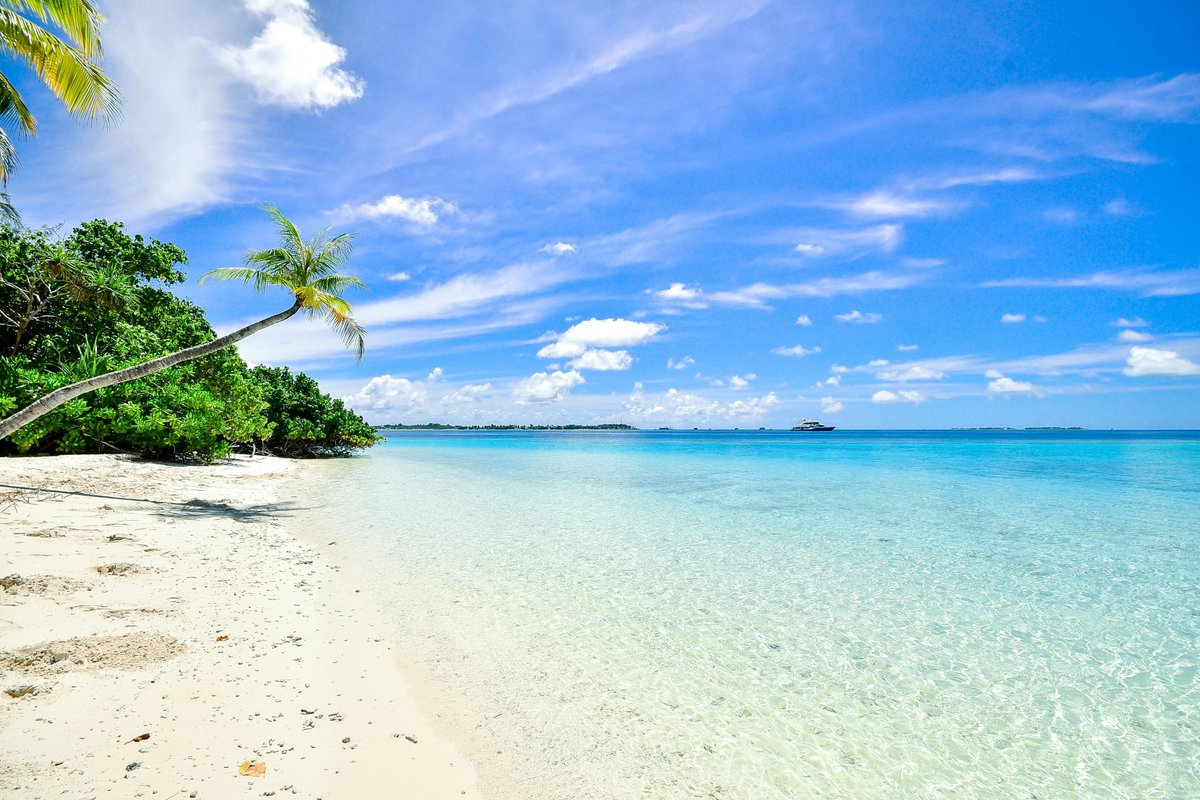 Vacation loans begin today! Anything borrowed on or after today can be borrowed until the start of the next term 📚