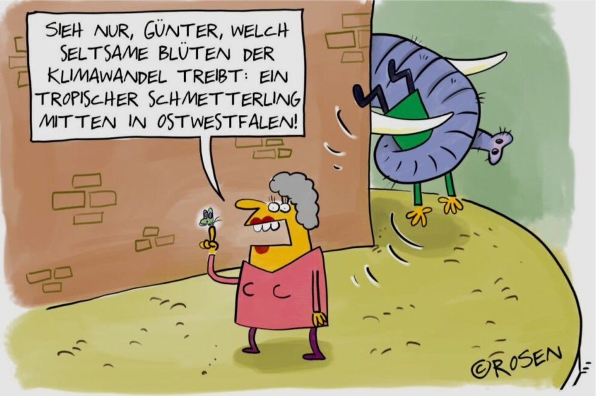 Ganz bestimmt ist es ein Puma, ich glaube daran !  In Sachsen-Anhalt wird doch wohl jemand einen Karton für das Tier übrig haben ? 😺