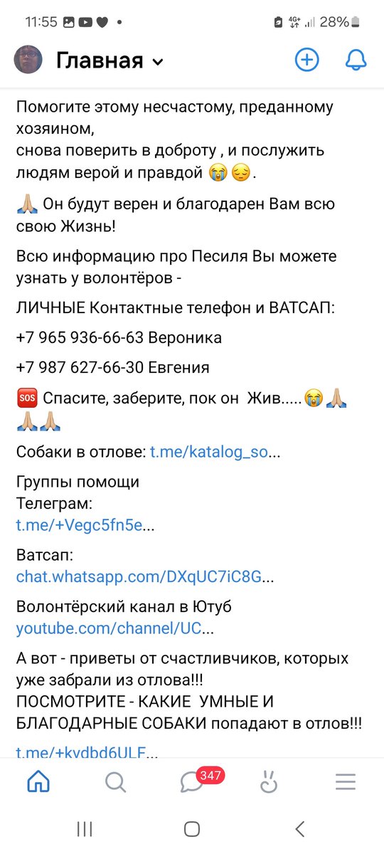 mgk_05's tweet photo. В Уфе попал в отлов домашний пес
Его сдал туда ХОЗЯИН
Сдал на смерть
Заведомо невозвратно
Пес сидит и плачет
Он все понимает
Трагедич вселенского масштаба
Горе одной заживо убитой души

Может, спасет кто???
Пост шанс https://t.co/hJxYddGxhj