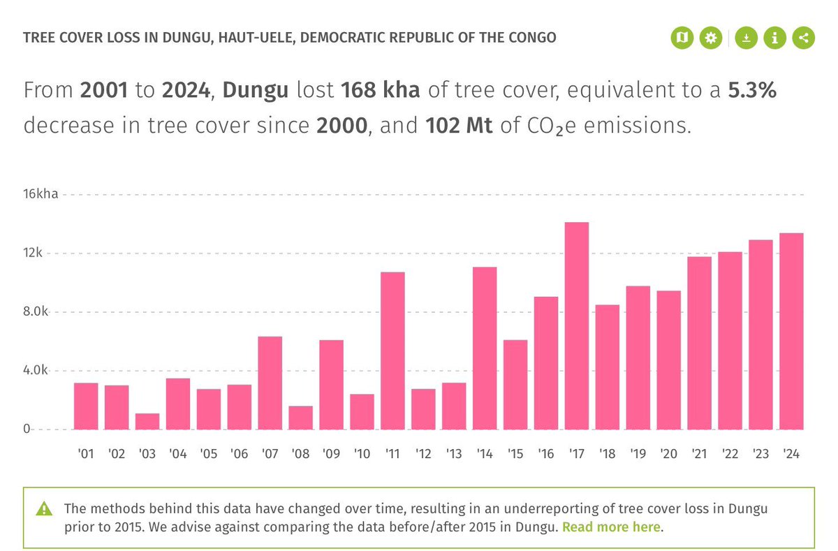 According to Global Forest Watch, between 2002 and 2023, Dungu–a key area in the province–lost 27.6 kha of primary rainforest, accounting for 18% of its total tree cover loss over that period.