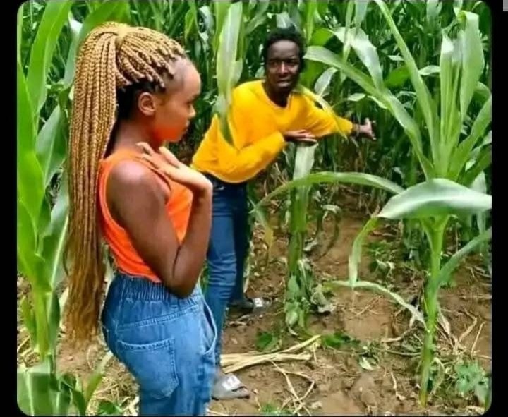 Ndipinzeiwo muzana please

Follow
@Angelofwar00
<a href="/AdesolaBlessin9/">Big Baby🌚❤️</a>
<a href="/AshleyTin02/">𝑺 𝑳 𝑼 𝑮 𝑮 𝑬 𝑹🇿🇼</a>
<a href="/01_Hollie/">F*ck_Face</a> <a href="/__Vigie/">VigieThaLastBorn</a>
<a href="/_MakdShelby/">ᗩl wᗩdᑌd_tᕼe sIᗰᑭ</a>
<a href="/AdesolaBlessin9/">Big Baby🌚❤️</a>
<a href="/Angeles_shines/">Angeles</a>
<a href="/AshleyTin02/">𝑺 𝑳 𝑼 𝑮 𝑮 𝑬 𝑹🇿🇼</a>
<a href="/BabereManCity/">Babe reManCity</a>
<a href="/babydragon263/">Redflag ndini🚩</a>
<a href="/bosskimhucci/">BOSS KIM</a>
@Brian
<a href="/boghoman/">Mukomana weMaCake</a>
<a href="/chiknara4/">Chiknara🐤𝕏</a>
@cdewemajokes