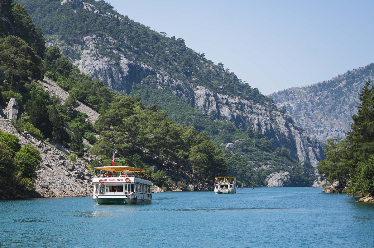 Maciej Biały tweet media