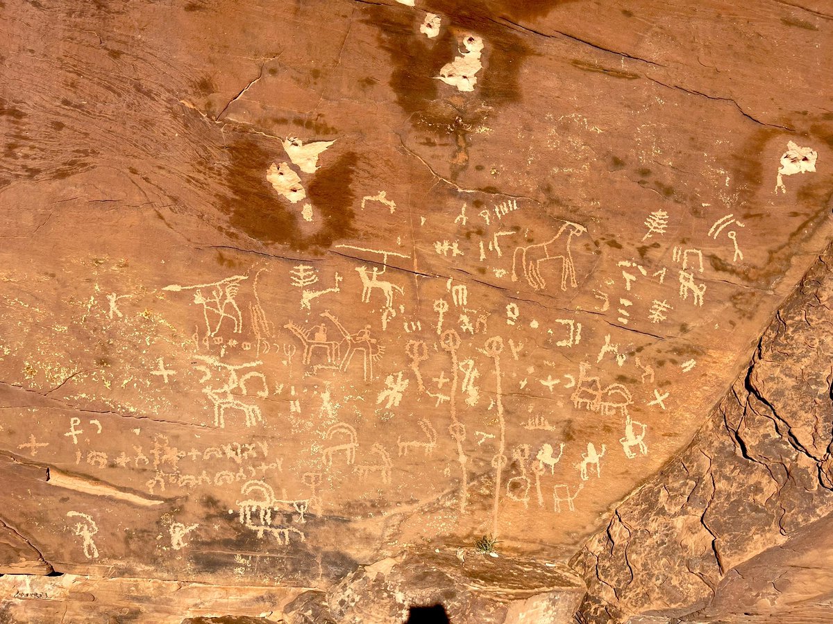 مفردات من النقوش الثمودية (ب):

جمل
ناقة
بكرة 
وعل
مركبة
دابة (حيوان)
دمية (رسمة)
ثمد (الماء)
مأخذ (مكان أخذ الشيء)
دور (أمكنة أو بيوت)