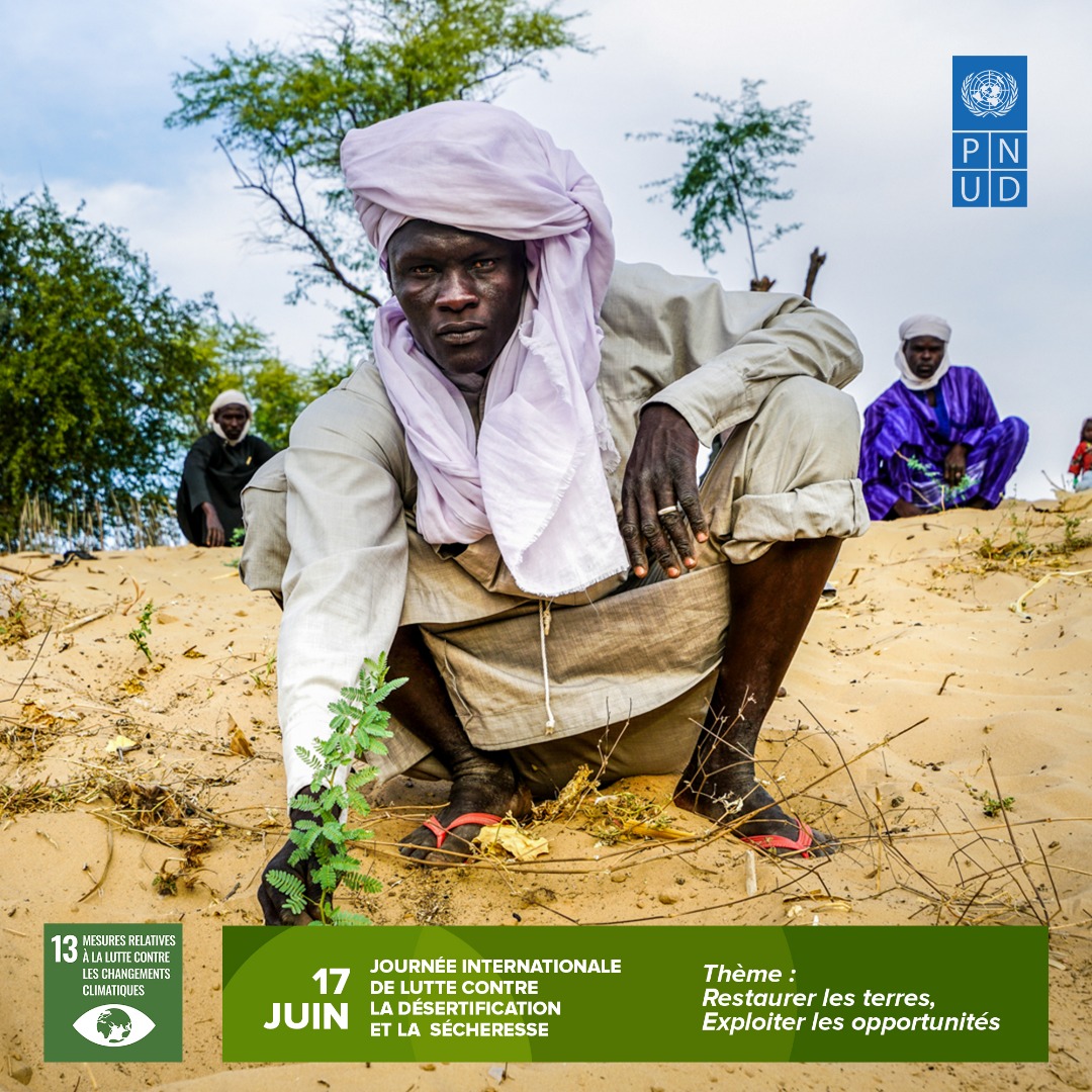 4️⃣0️⃣% des terres 🌍 sont dégradées. Au 🇲🇱, le désert avance de 7 km/an, touchant ⅔ du territoire.
Sols, cultures et vies sont menacés, poussant à l’exode. Urgence d’agir contre #désertification.
#17Juin Journée mondiale : mobilisons-nous pour la terre et notre avenir🌱