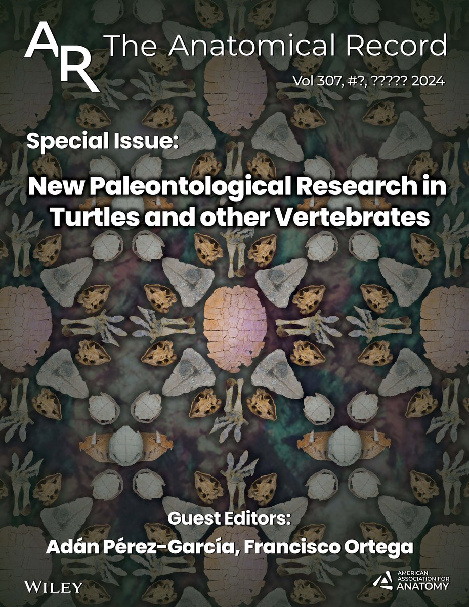 Godzillin's tweet image. “New Paleontological Research in #Turtles and other #Vertebrates”: volumen homenaje a Emiliano Jiménez Fuentes editado por @Tortugologo y @frco_ortega en @AnatRecord:
▶️ godzillin.blogspot.com/2025/06/new-pa…
#Paleontology #Special #Issue