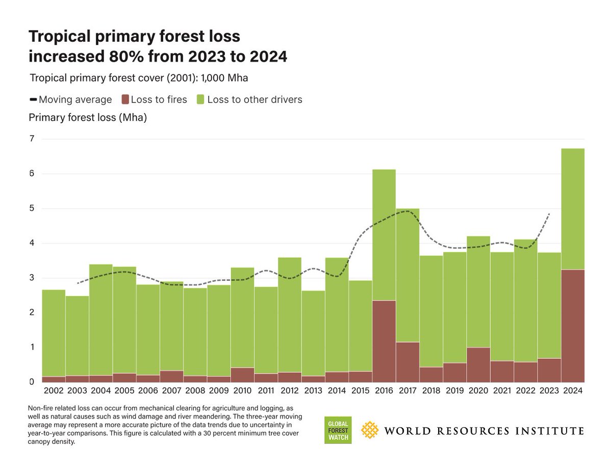 Apes Reporting Project (@apesstories) on Twitter photo According to new data from theĀ University of Marylandās GLAD labĀ and available on WRIās Global Forest Watch platform, tropical primary forest disappeared at a rate of 18 football (soccer) fields per minute in 2024 ā nearly double that of 2023.
<a href="/globalforests/">Global Forest Watch</a> According to new data from theĀ University of Marylandās GLAD labĀ and available on WRIās Global Forest Watch platform, tropical primary forest disappeared at a rate of 18 football (soccer) fields per minute in 2024 ā nearly double that of 2023.
<a href="/globalforests/">Global Forest Watch</a>