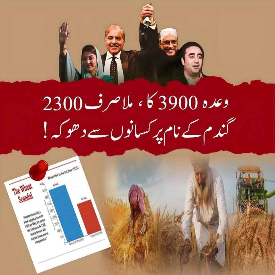 mejazshafi's tweet photo. وعدہ 3900 کا ، ملا صرف 2300 گندم کے نام پر کسانوں سے دھو کہ !
#MafiaExposed 
#PMLNExposed https://t.co/AhafQe5o0d