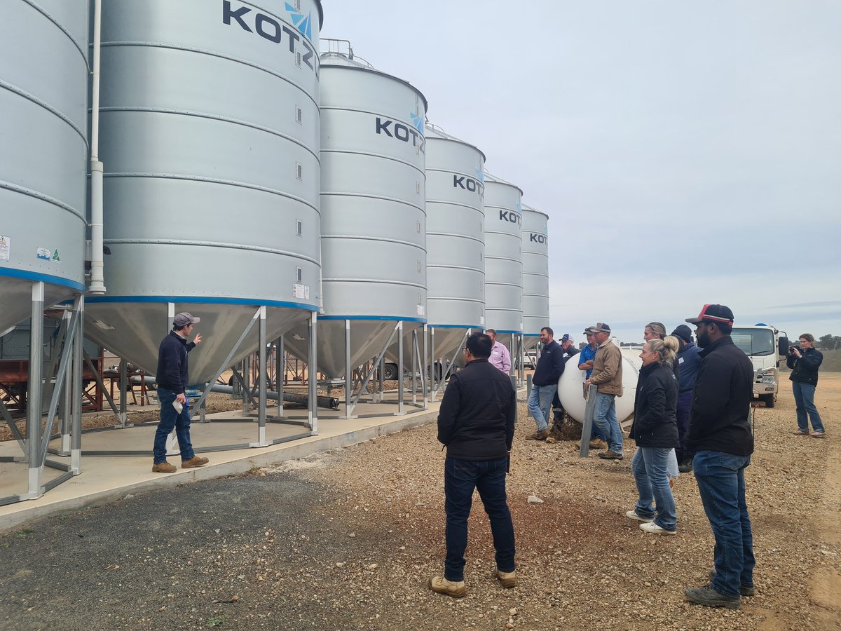 Charlotte Aves tweet media