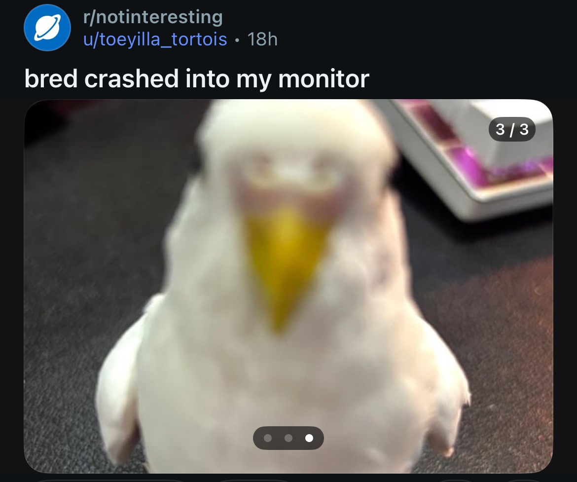 Images AI Could Never Recreate (@imagesaicouldnt) on Twitter photo 