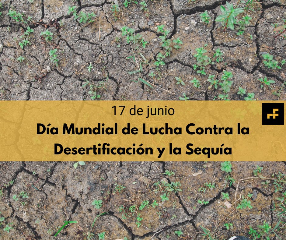 Hoy es el Día Mundial de Lucha Contra la Desertificación y la Sequía y, desde Repuestos Fuster, queremos recordar la importancia de llevar a cabo un uso eficiente del agua. En este sentido, toda pequeña acción es importante.

#diamundialdeluchacontraladesertificacionylasequia