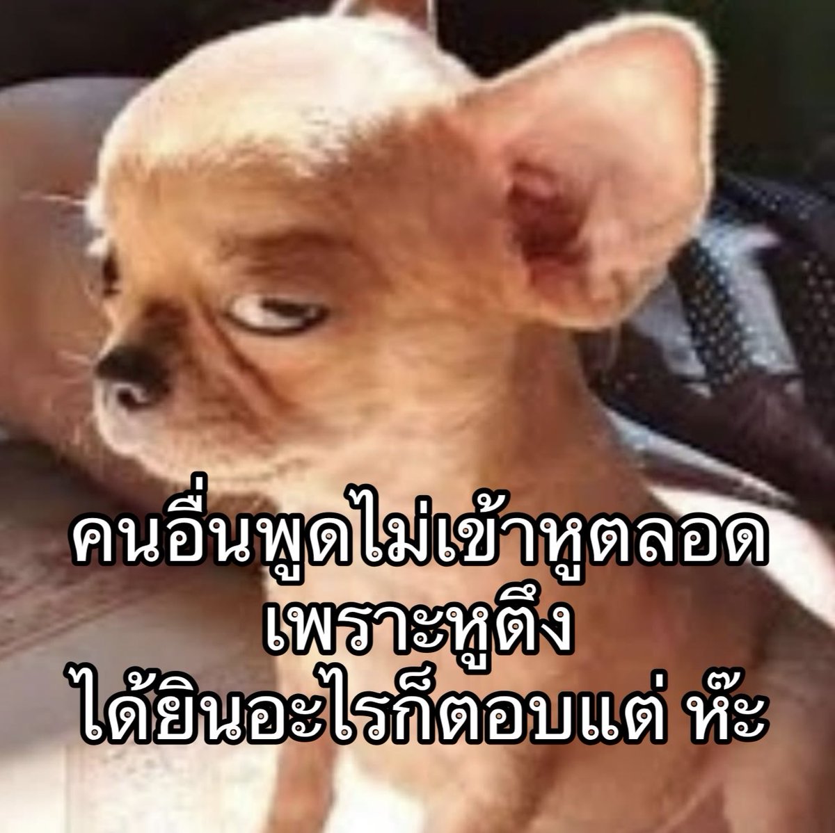 IMeSayIt's tweet photo. พูดไม่เข้าหู เพราะไม่ได้ยิน https://t.co/Gbl3mYcIuj