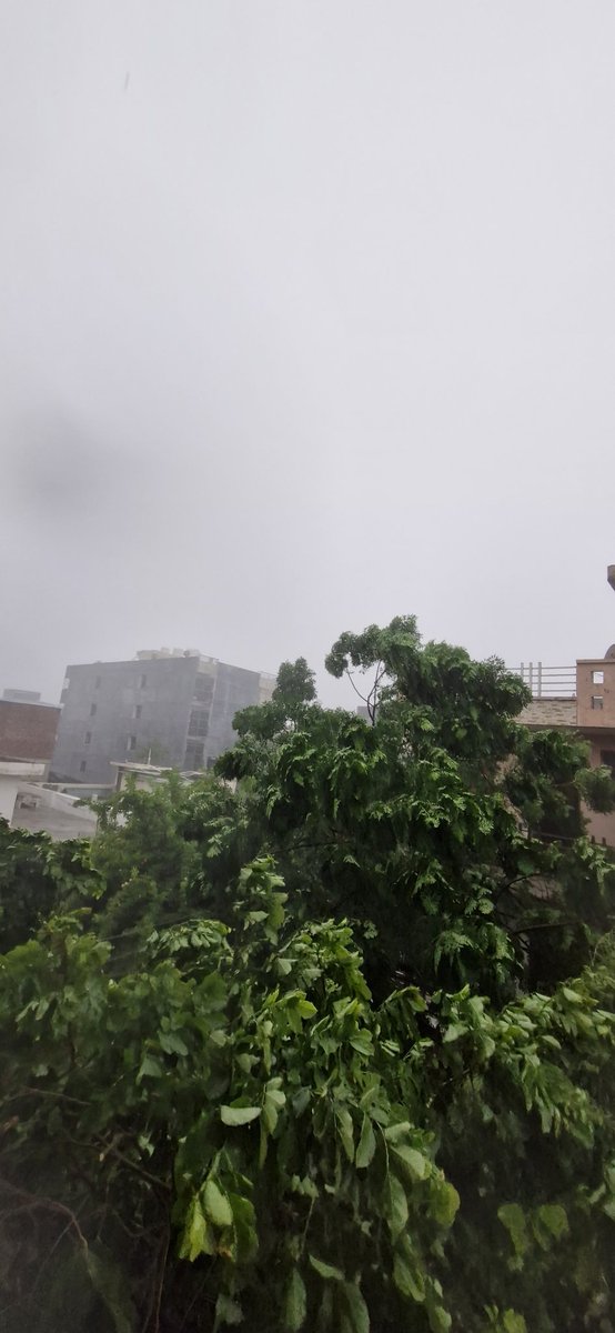 भीगी मिट्टी की महक प्यास बढ़ा देती है
दर्द बरसात की बूँदों में बसा करता है
- मरग़ूब अली