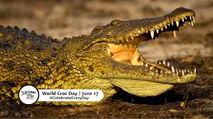 SilentB(Ø,G) (@silent3007) on Twitter photo World Crocodile Day 2025 World Crocodile Day 2025
