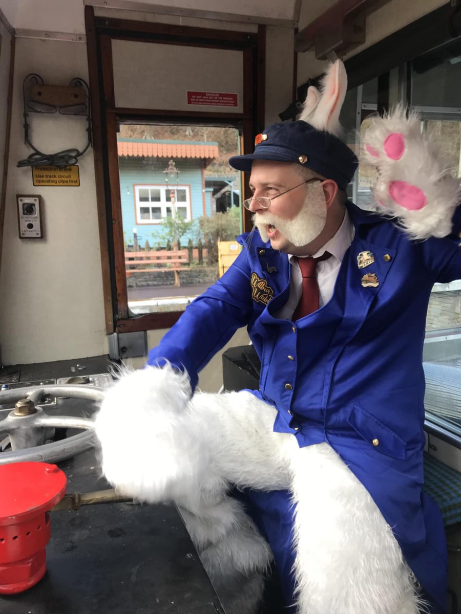 The Forest Railway Stories tweet media