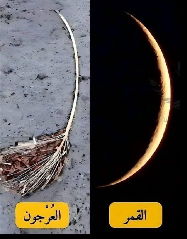 (وَالْقَمَرَ قَدَّرْنَاهُ مَنَازِلَ حَتَّىٰ عَادَ كَالْعُرْجُونِ الْقَدِيمِ)