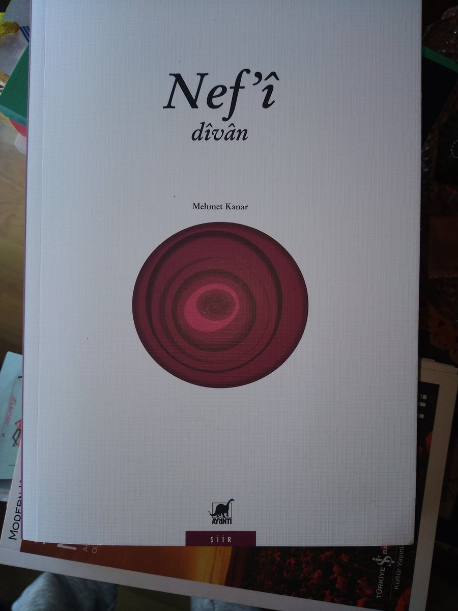 Nef'î Divanı çalışmam Ayrıntı yayınları arasında yerini aldı.