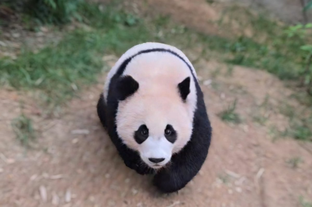 덩치만 컸지 다 그대로야😭😭