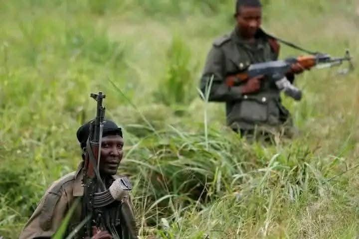 Wazalendos243's tweet photo. 🚨🚨🚨🚨🇨🇩🇨🇩  Des combats violents sont actuellement signalés entre les @wazalendoet les #M23 à #Bwenda,  près de #Nyangezi, dans le #SudkivuGouv . Les éléments du M23RDF ont lancé des attaques sporadiques dans le but de déloger les #WAZALENDO de leurs positions. https://t.co/glZIb2elot