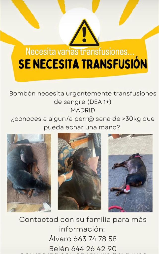 Ayuda muy urgente por favor difundir ‼️ 😢 🙏