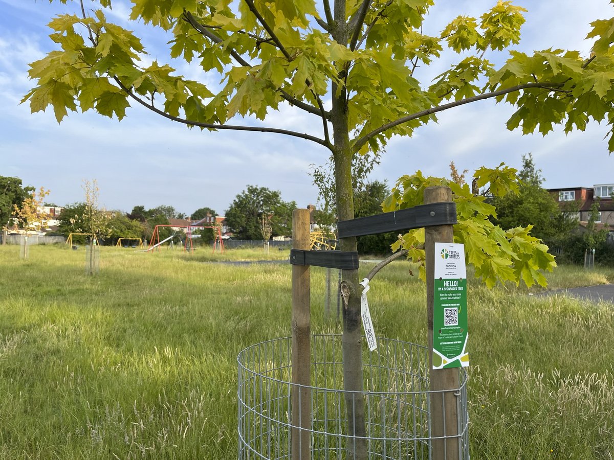 Don't fancy a tree outside your home? We also facilitate tree sponsorships in parks and green spaces 🌳🌲

Let us know where you'd like your tree to be planted, and we'll handle the rest 👉 sponsor.treesforstreets.org/start