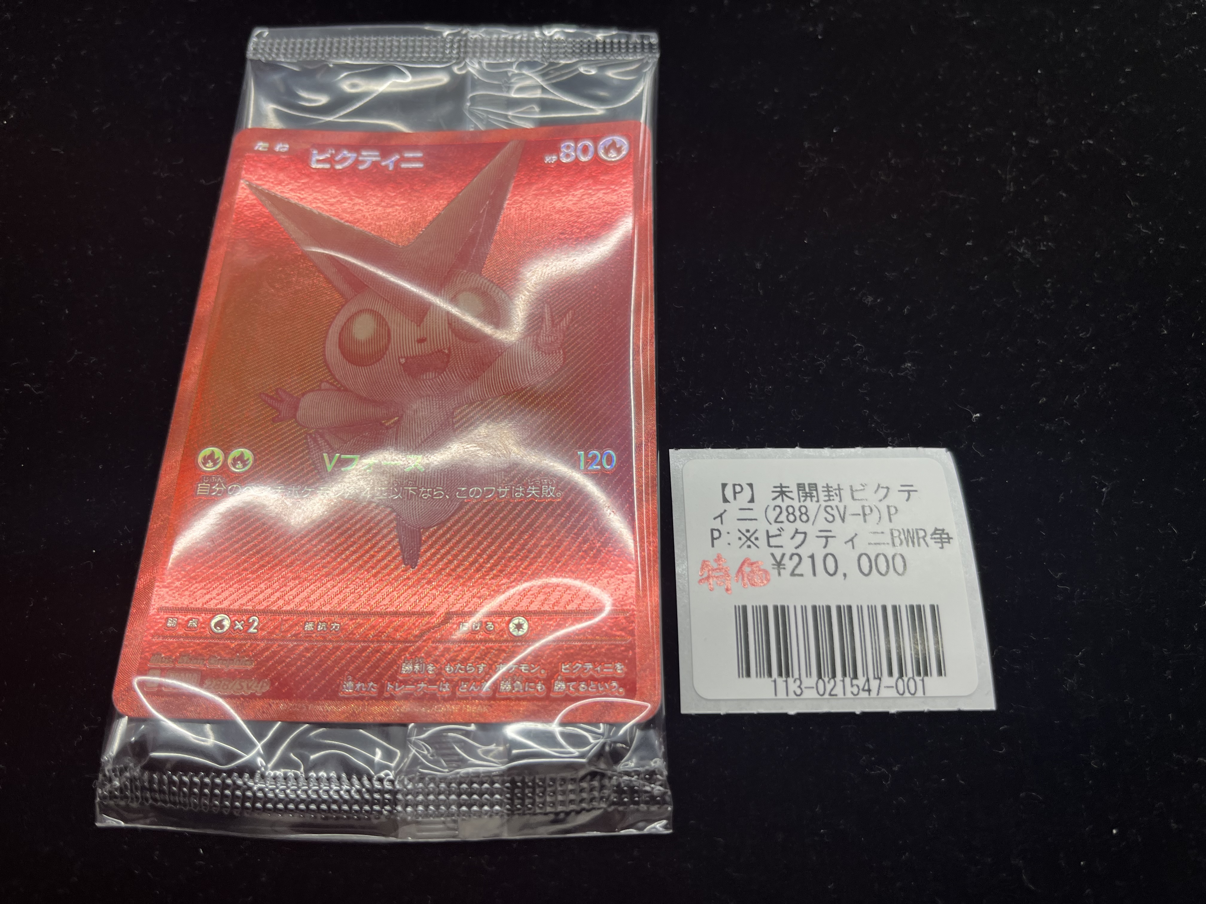 ホルモン 会場限定 コンボ プルーフ 限定 ミュージシャン