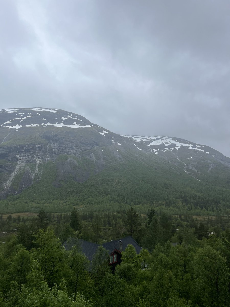 Home sweet home 🌲💚🤍
#Norway
