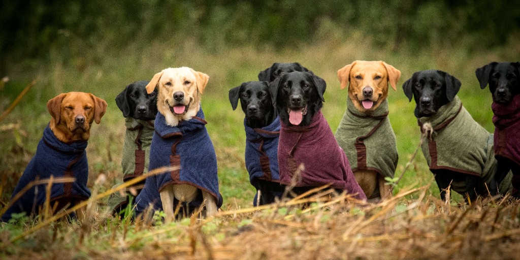 #squadgoals

📸 | @rivergginsgundogs

#ruffandtumble