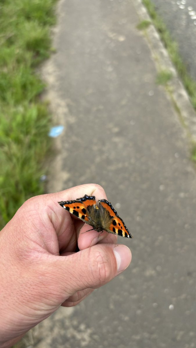 craigfe92018184's tweet image. Day 3 Walking the Length of Scotland For Men’s Mental health 🏴🧠
I can’t lie today was easily my Favourite day so far. Perhaps naively I didn’t realise how Beautiful the Ayrshire Southwest coast was but I certainly do now wow !😍
Please remember to Donate 💌