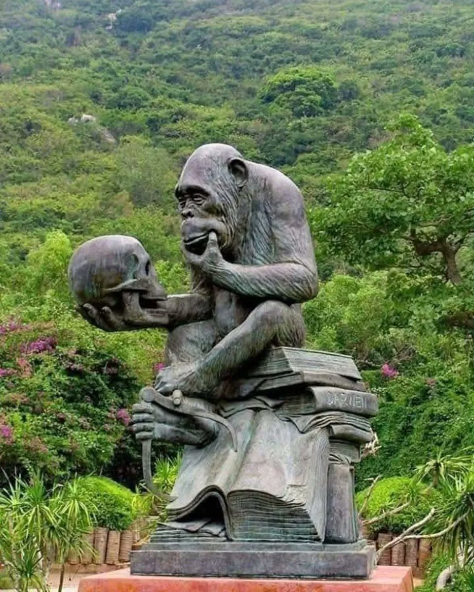 Evrilmek yada evrilmemek işte bütün mesele bu.