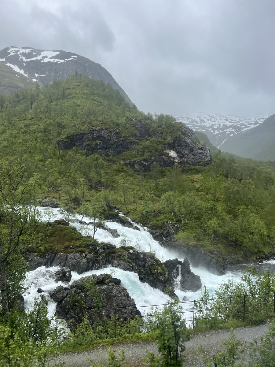 Good afternoon friends ☕️🕊️
#Norway