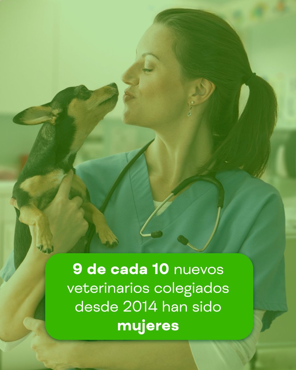 Iberzoo+Propet (@iberzoopropet) on Twitter photo La veterinaria lidera el crecimiento femenino en profesiones sanitarias: en 2024, hay un 19,4% más de mujeres colegiadas que hombres, según datos del <a href="/es_INE/">INE España</a>, publicados en <a href="/animalshealthes/">Animal's Health</a>.
Un cambio que refleja un avance hacia una profesión más equitativa.
#IberzooPropet La veterinaria lidera el crecimiento femenino en profesiones sanitarias: en 2024, hay un 19,4% más de mujeres colegiadas que hombres, según datos del <a href="/es_INE/">INE España</a>, publicados en <a href="/animalshealthes/">Animal's Health</a>.
Un cambio que refleja un avance hacia una profesión más equitativa.
#IberzooPropet