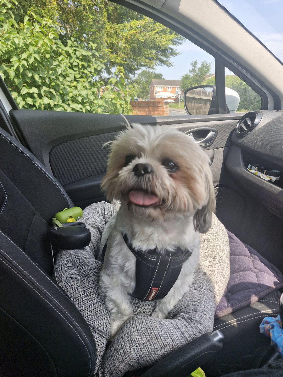 Happy #TOT waiting to see vets for my booster and health check! Air con on! Im cool just excited as i love my vet