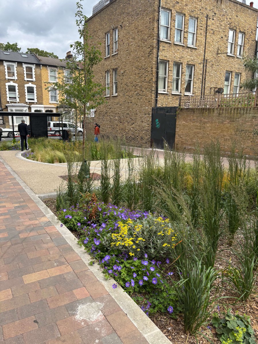 Meristem Design (@meristemdesign) on Twitter photo Did you know Marvin Street used to be a dead-end road? 🌿
Now it’s a blooming pocket park with rain gardens, trees & footpaths - all part of a greener, healthier borough with <a href="/hackneycouncil/">Hackney Council</a>.
🌧️ Resilience
🚶♀️ Walkability
🌱 Biodiversity
#SuDS #RainGardens #UrbanGreening Did you know Marvin Street used to be a dead-end road? 🌿
Now it’s a blooming pocket park with rain gardens, trees & footpaths - all part of a greener, healthier borough with <a href="/hackneycouncil/">Hackney Council</a>.
🌧️ Resilience
🚶♀️ Walkability
🌱 Biodiversity
#SuDS #RainGardens #UrbanGreening