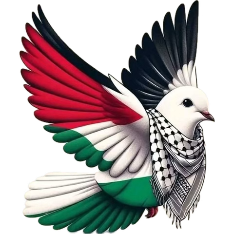 Must be difficult if you’re horrified by witnessing a live genocide, that’s forever seared in your minds eye to what you’ve watched in #Gaza, employed by organisation that can discipline you, even sack you should dare you stand against genocide by Israel and say:🗣️#FreePalestine