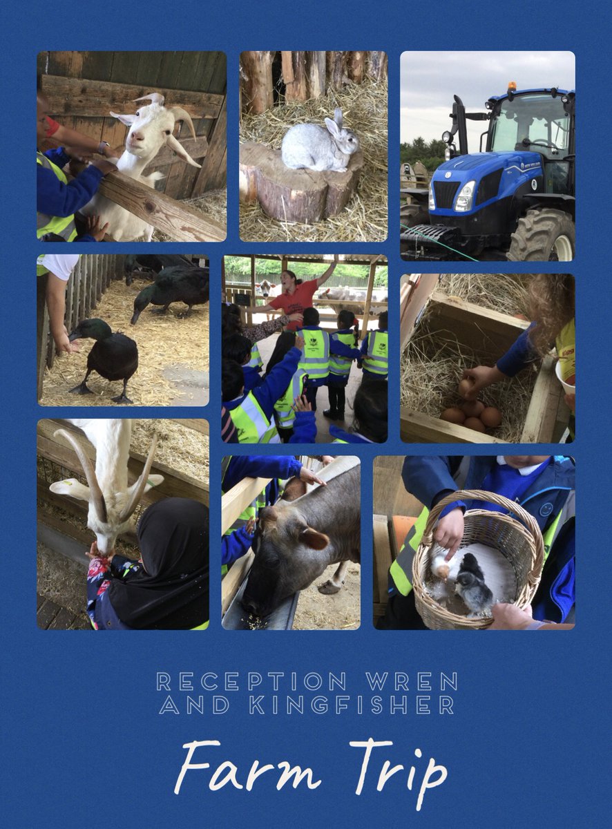 Reception Wren’s and Kingfisher's farm adventure was a hit! 🐄🐑🐓 The kids loved meeting friendly animals, feeding them, and collecting eggs. It was a fantastic hands-on learning experience that boosted their confidence and curiosity! 🌟