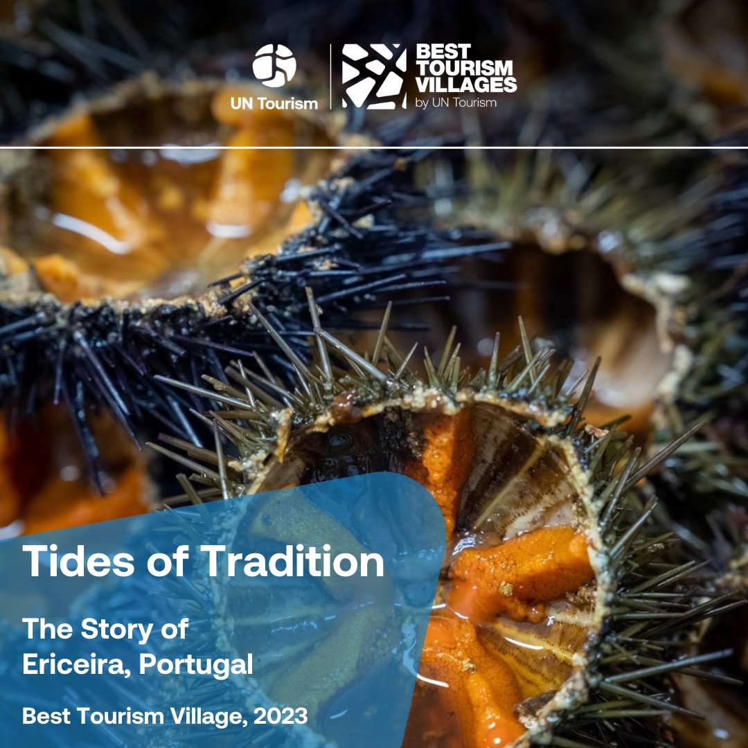 Best Tourism Villages by UN Tourism (@btv_unwto) on Twitter photo #BestTourismVillages by #UNTourism Ericeira, #Portugal blends #maritimeheritage with world-class surf. As Europe’s first World Surfing Reserve, it shows how #coastaldestinations can champion #marineconservation
#UNTourismRural <a href="/UNWTO/">UN Tourism</a> <a href="/visitportugal/">Visit Portugal</a>
tourism-villages.unwto.org/en/villages/er… #BestTourismVillages by #UNTourism Ericeira, #Portugal blends #maritimeheritage with world-class surf. As Europe’s first World Surfing Reserve, it shows how #coastaldestinations can champion #marineconservation
#UNTourismRural <a href="/UNWTO/">UN Tourism</a> <a href="/visitportugal/">Visit Portugal</a>
tourism-villages.unwto.org/en/villages/er…