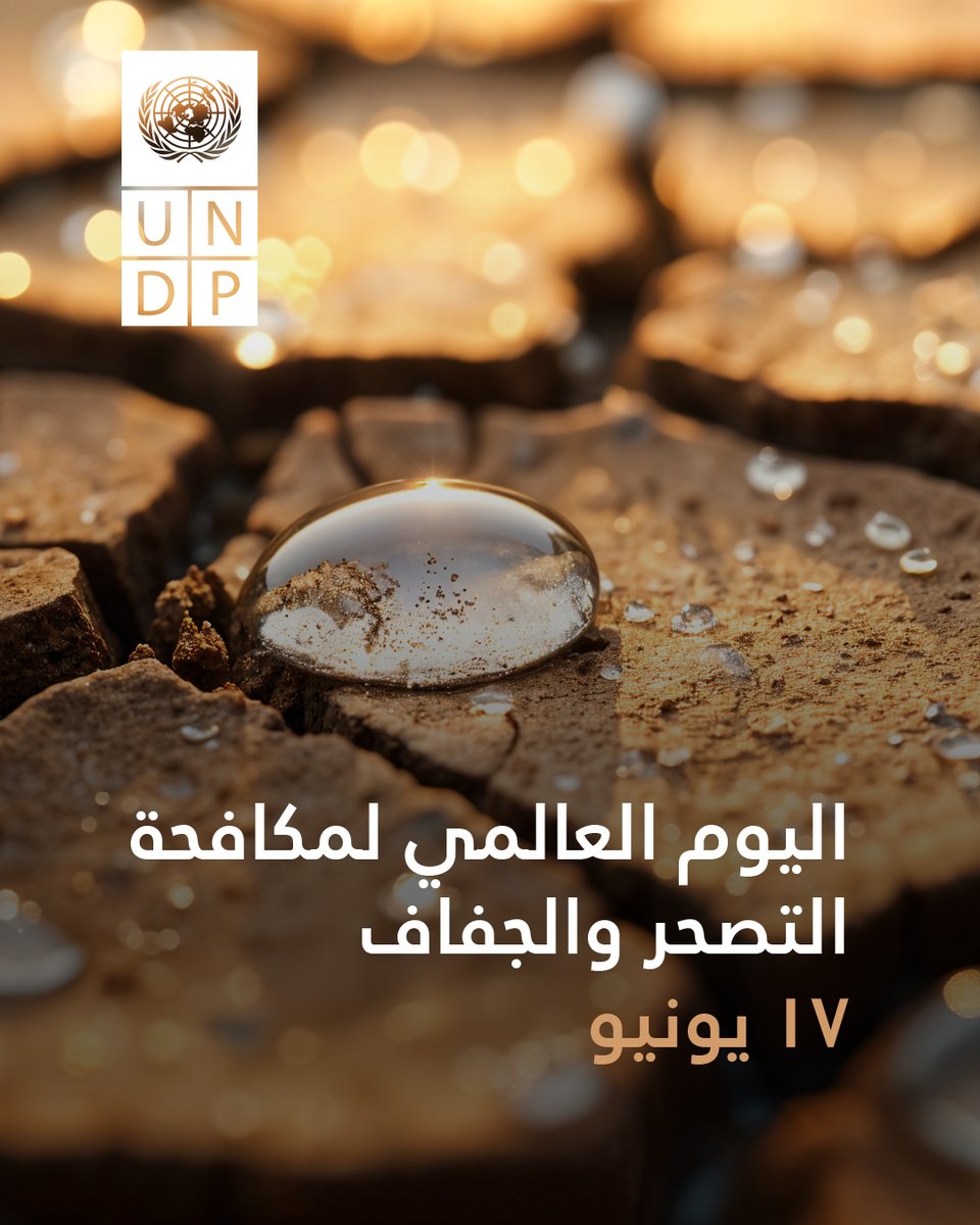 ما يقارب نصف أراضي الكويت متأثرة بالتصحر، مع تعرّض 93٪ من السكان لمخاطر الجفاف.
في هذا اليوم العالمي لمكافحة التصحر والجفاف، إن حماية الأرض ليست مجرد خطوة بيئية، بل ضرورة وطنية.
يُجدّد برنامج الأمم المتحدة الإنمائي التزامه بدعم جهود الكويت في معالجة تدهور الأراضي وحماية الموارد
