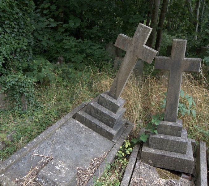 Iithosphere's tweet image. forever