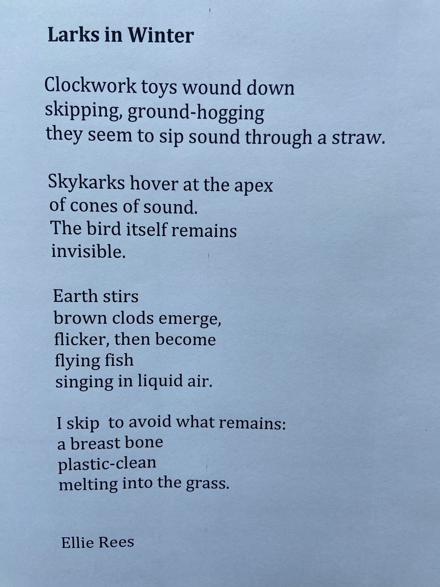 Ellie Rees (@ellierees23) on Twitter photo Thanks <a href="/MatthewMCSmith/">Matthew M C Smith</a> and <a href="/blackboughpoems/">Black Bough Poetry / Barddoniaeth Y Gangen Ddu</a> for setting this. I enjoyed the arithmetic (all are 14 words long) but I left no time for the poetry! <a href="/TopTweetTuesday/">TopTweetTuesday</a> Thanks <a href="/MatthewMCSmith/">Matthew M C Smith</a> and <a href="/blackboughpoems/">Black Bough Poetry / Barddoniaeth Y Gangen Ddu</a> for setting this. I enjoyed the arithmetic (all are 14 words long) but I left no time for the poetry! <a href="/TopTweetTuesday/">TopTweetTuesday</a>