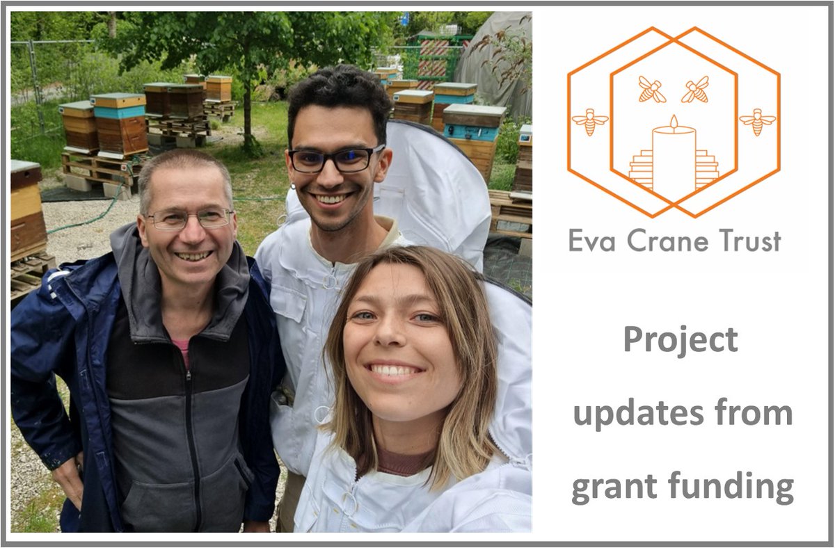 Eva Crane Trust (@evacranetrust) on Twitter photo As the Trustees assess the next round of grant applications, we are delighted to provide an update on some of our other projects.
bit.ly/2lgdJXk
#beeresearch #BeeScience #asianhornet #stinglessbees #apiculture
<a href="/ResearchUGent/">Ghent University Research</a> <a href="/CayetanoHeredia/">Universidad Peruana Cayetano Heredia</a> As the Trustees assess the next round of grant applications, we are delighted to provide an update on some of our other projects.
bit.ly/2lgdJXk
#beeresearch #BeeScience #asianhornet #stinglessbees #apiculture
<a href="/ResearchUGent/">Ghent University Research</a> <a href="/CayetanoHeredia/">Universidad Peruana Cayetano Heredia</a>