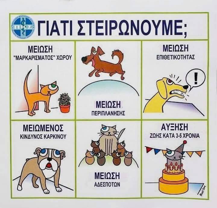 Rika Passa (@rikoulini) on Twitter photo 