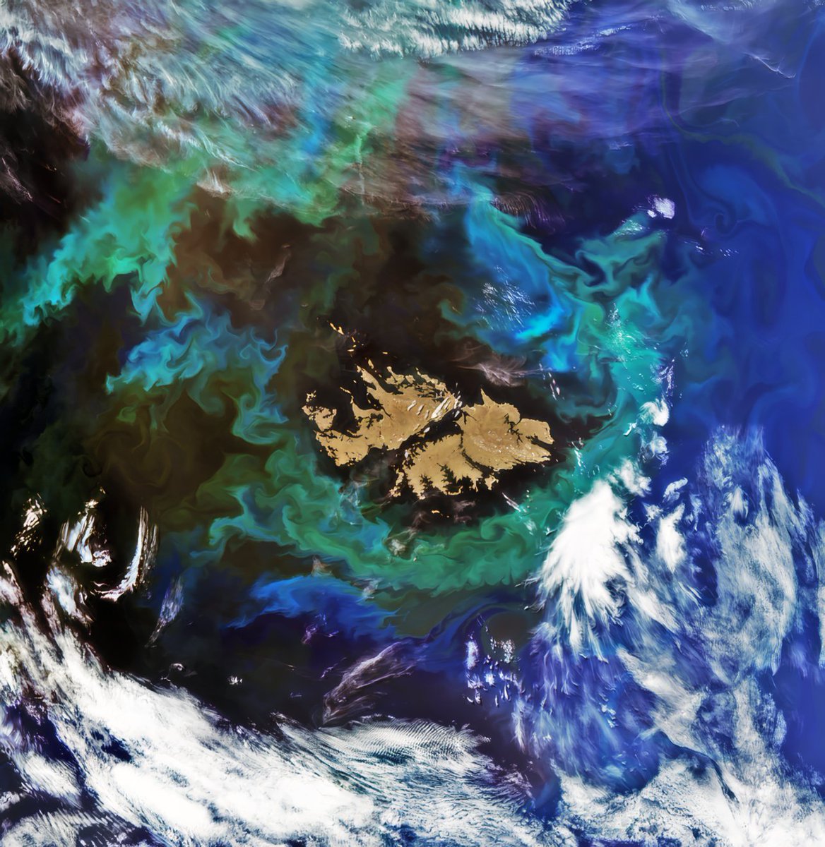 A spectacular photograph of our beautiful Islands taken all the way from space! 🇫🇰🌌

Taken by <a href="/NASAEarth/">NASA Earth</a>'s PACE (Plankton, Aerosol, Cloud, ocean Ecosystem) satellite showing phytoplankton blooms around the Falklands. 🌊