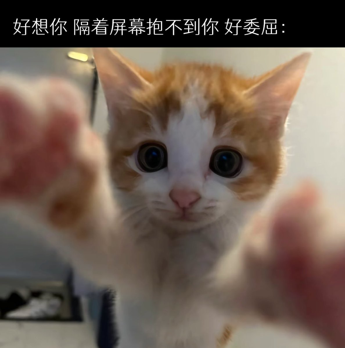 恋 tweet media