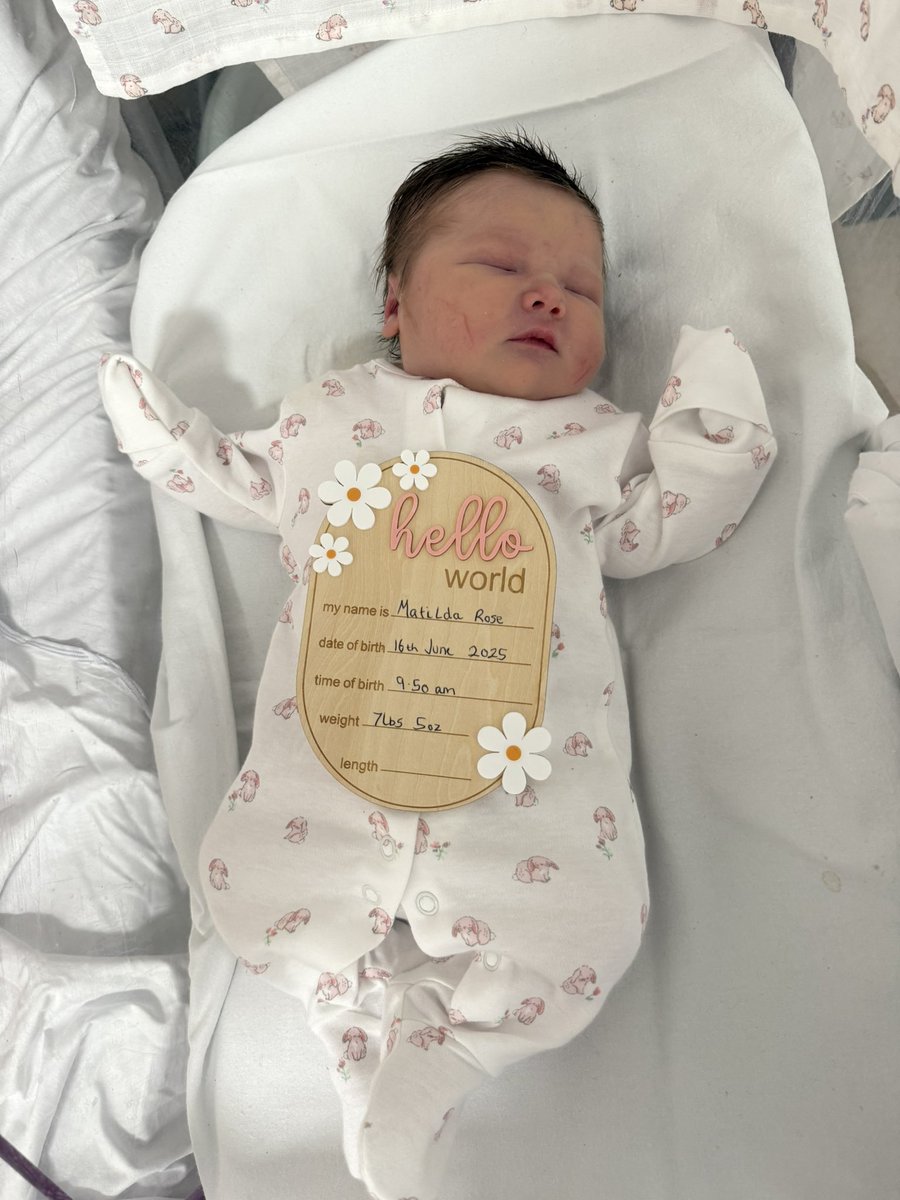 Ash Davidson tweet media